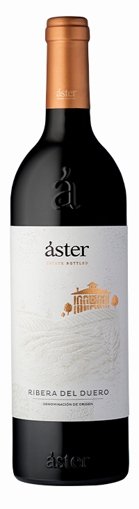 ASTER2020-200×733